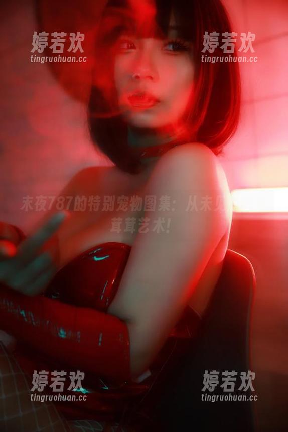 末夜787的特别宠物图集：从未见过的毛茸茸艺术！